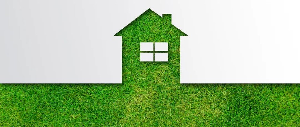 【精神文明建設】尊重自然 和諧共生│鄭投產業園組織開展生態文明教育主題活動