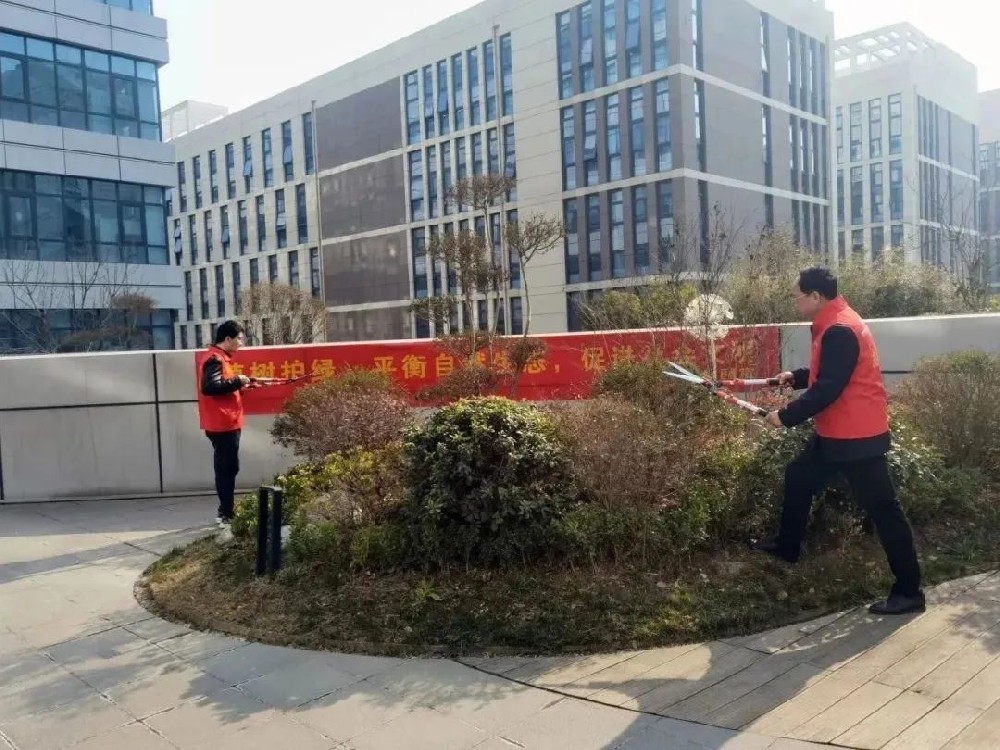 【精神文明建設】愛綠護綠筑希望│鄭投產業園公司組織開展樹木養護志愿活動