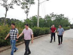 【鄭投產業園要聞】約克動漫一行赴虎牢關實地參觀，推進公司文創板塊發展